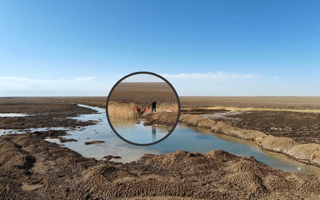 6539fc3950d38f1ac965e16da26a6e4e