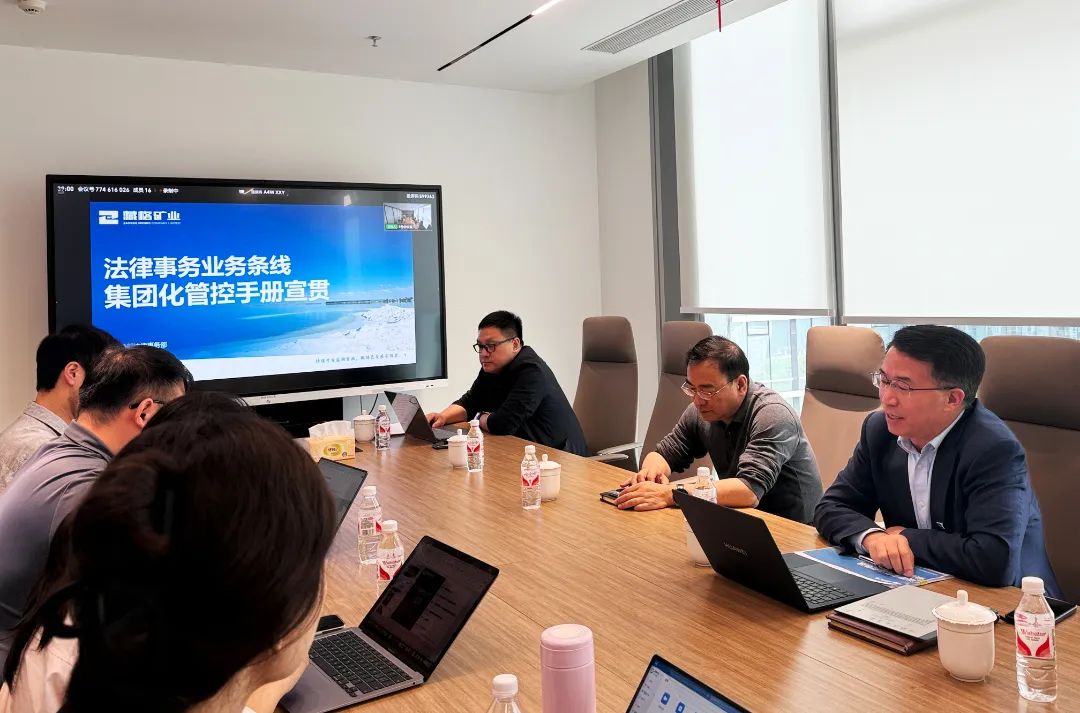 韦德官方网站矿业发展《司法事务业务条线集团化管控手册》宣贯