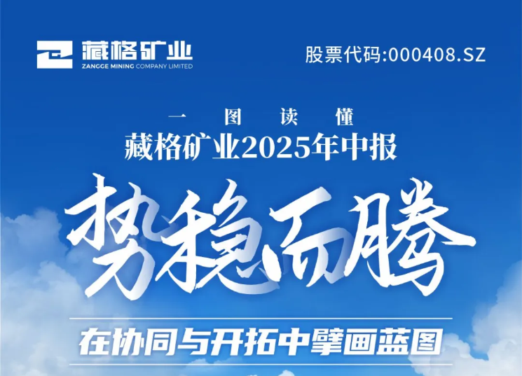 一图读懂｜韦德官方网站矿业2025年中报